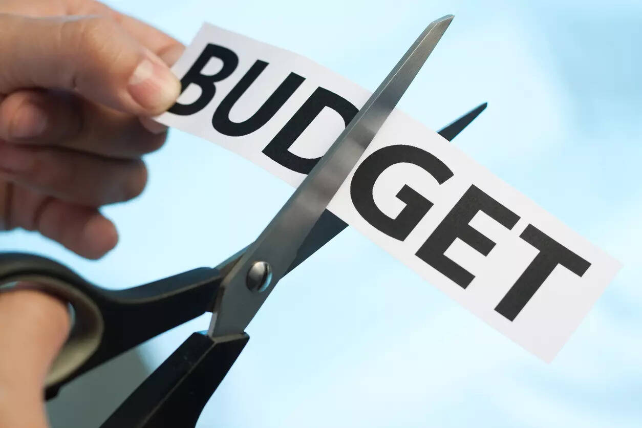 <p>In the 2024-25 budget, the allocation for education dropped to Rs 50 crore, and in 2025-26, it was further cut to Rs 35 crore. (photo is representational)</p>