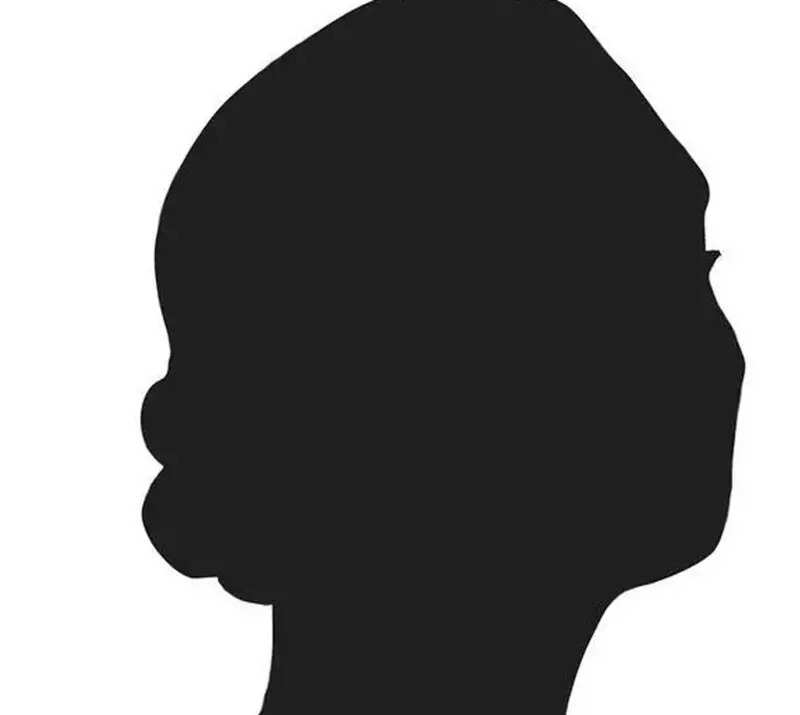 <p>The main agenda was to discuss the functioning of the student safeguarding advisory committee. This committee includes the principal, two teachers, parents, a management representative, and a non-teaching staff. The principal is a permanent member, while half of the committee members are replaced annually.</p>