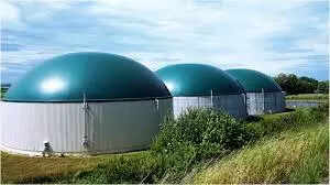 <p>He said the biofuel obtained from the plant could either be converted into energy or used as a compressed gas.</p>