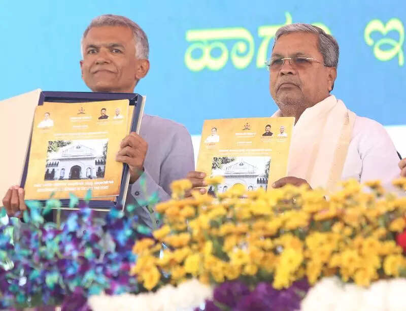 <p>representative image</p>