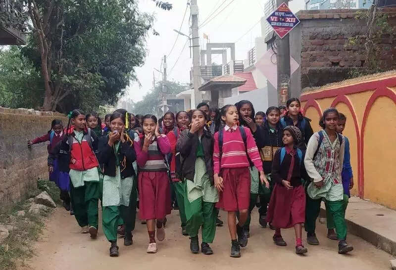 <p>Each school is required to form a RISE (Reach, Inspire, Support, Educate) team by April 30. These teams will be created according to the number of areas and residential locations of the students. The team will include two senior students from each area, house captains or vice-captains, two parents, public representatives, and school management committees.</p>