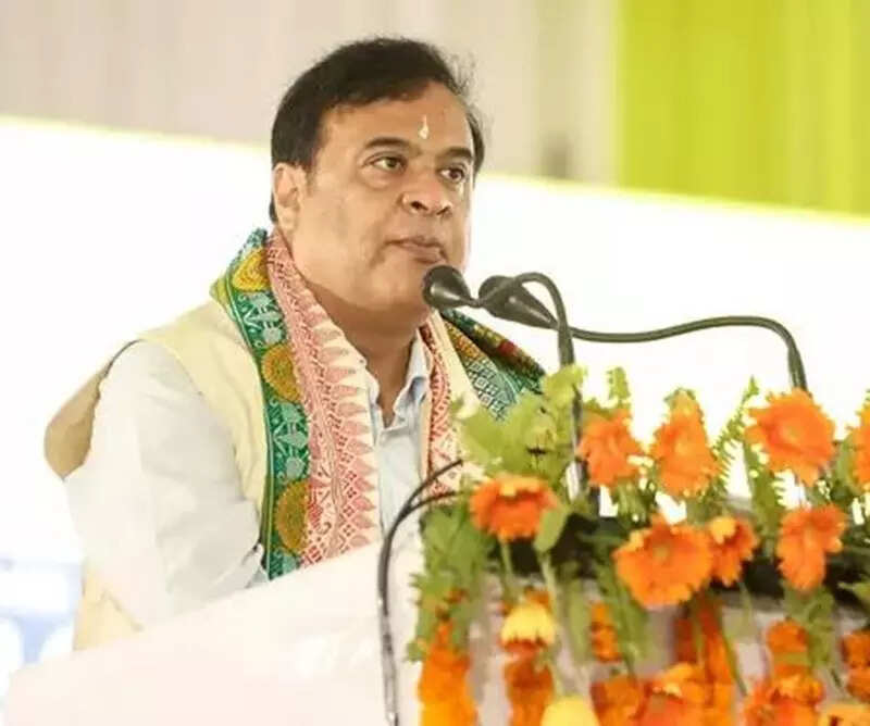 <p>Chief Minister Himanta Biswa Sarma</p>