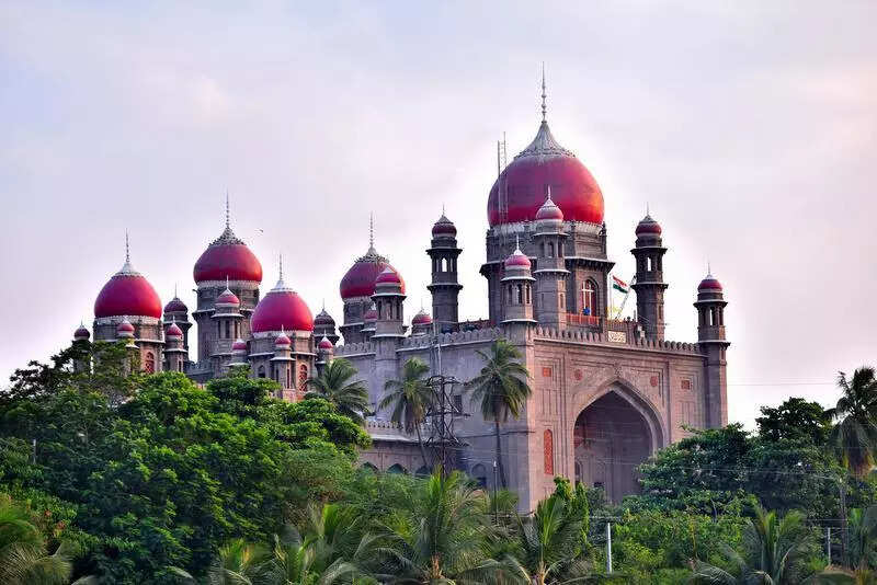 <p>The colleges, including institutions affiliated with prominent educational groups, had earlier approached the court claiming that the govt orders issued on Aug 23 and 24, 2024, were politically motivated. The petitioners – including Malla Reddy and Marri Lakshma Reddy groups – argued that they were targeted due to perceived affiliations with the previous state govt.</p>
