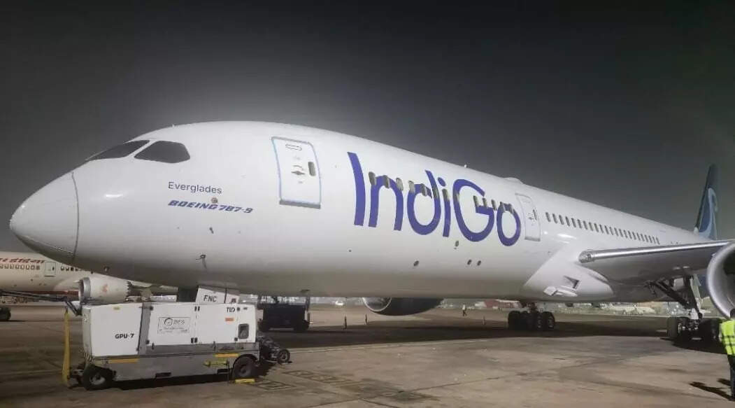 FY25 sees Rs 7,258 cr profit & leap into long-haul ops, ET TravelWorld