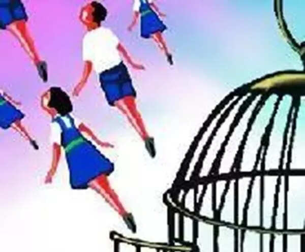 <p>Targeted at students in classes IX and XI, the programme will offer hands-on learning opportunities in fields such as information technology, retail, healthcare, and beauty and wellness. This expansion brings the total number of govt schools offering at least one skill-based subject to over 800, as per officials.</p>