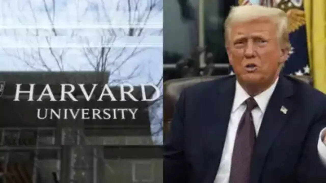 <p> President Donald Trump </p>