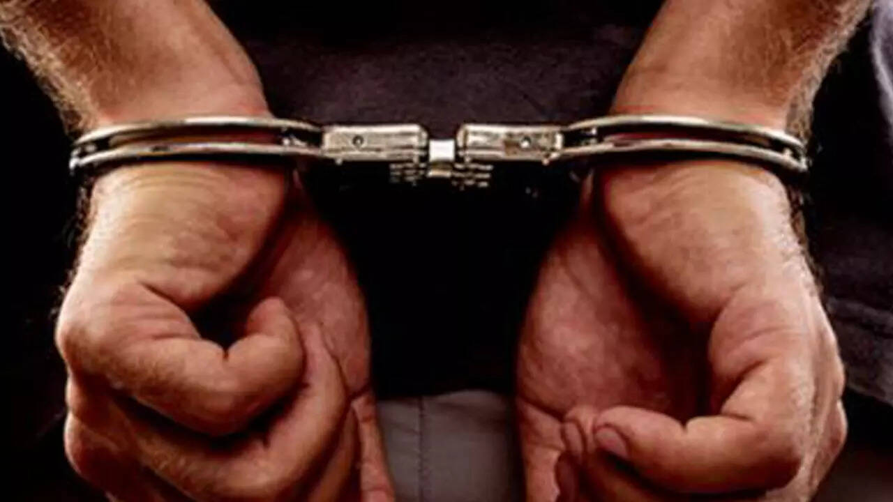 <p>An FIR was registered against him under sections 353 (1) C (statements conducing to public mischief...) of BNS and section 66 of IT Act, based on the complaint filed by a local politician. Police produced him in court, which remanded him to judicial custody for 14 days.</p>