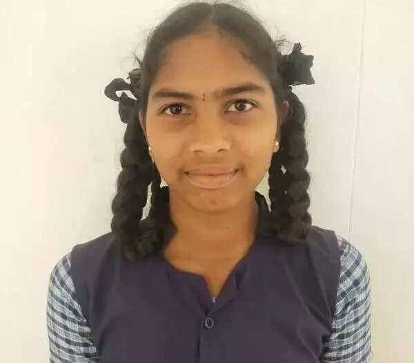 <p>Rajeshwari, the daughter of late Aundi and Kavitha of Appakudi, completed her schooling at the Karumandurai Government residential school in Vazhapadi taluk of Salem district. Appakudi is a tribal village in the Kalvarayan Hills. She passed the Class XII board examination with a score of 521 out of 600.</p>