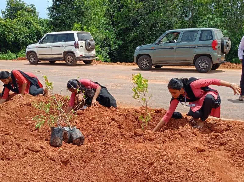 <p>Typically, plants are spaced three metres apart, but for this project, the gap will be reduced to ensure a thick green cover. The dual-row planting will include hedge plants for safety and flowering plants for aesthetics, he said.</p>