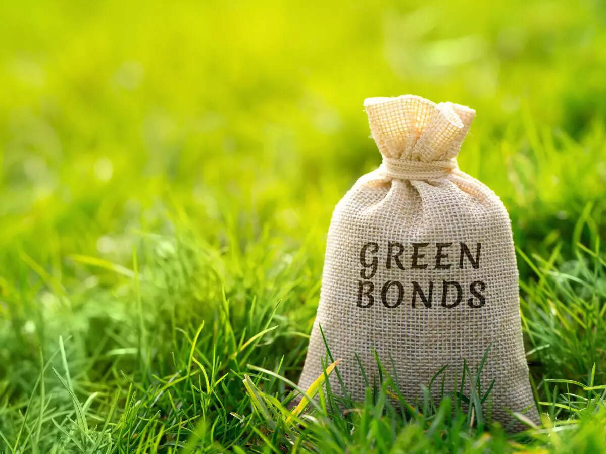 <p>India to need $1.3 trillion green, social funds by 2030, says report</p>