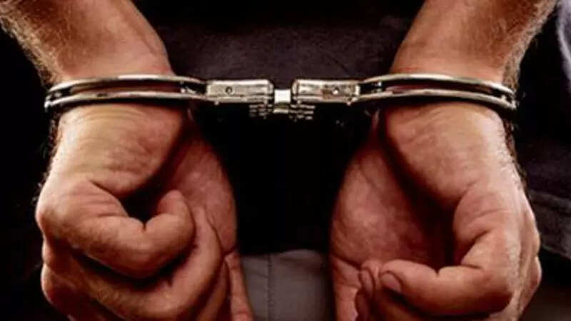 <p>When the campus security personnel launched a search for the culprit, he hid behind some bushes and escaped</p>