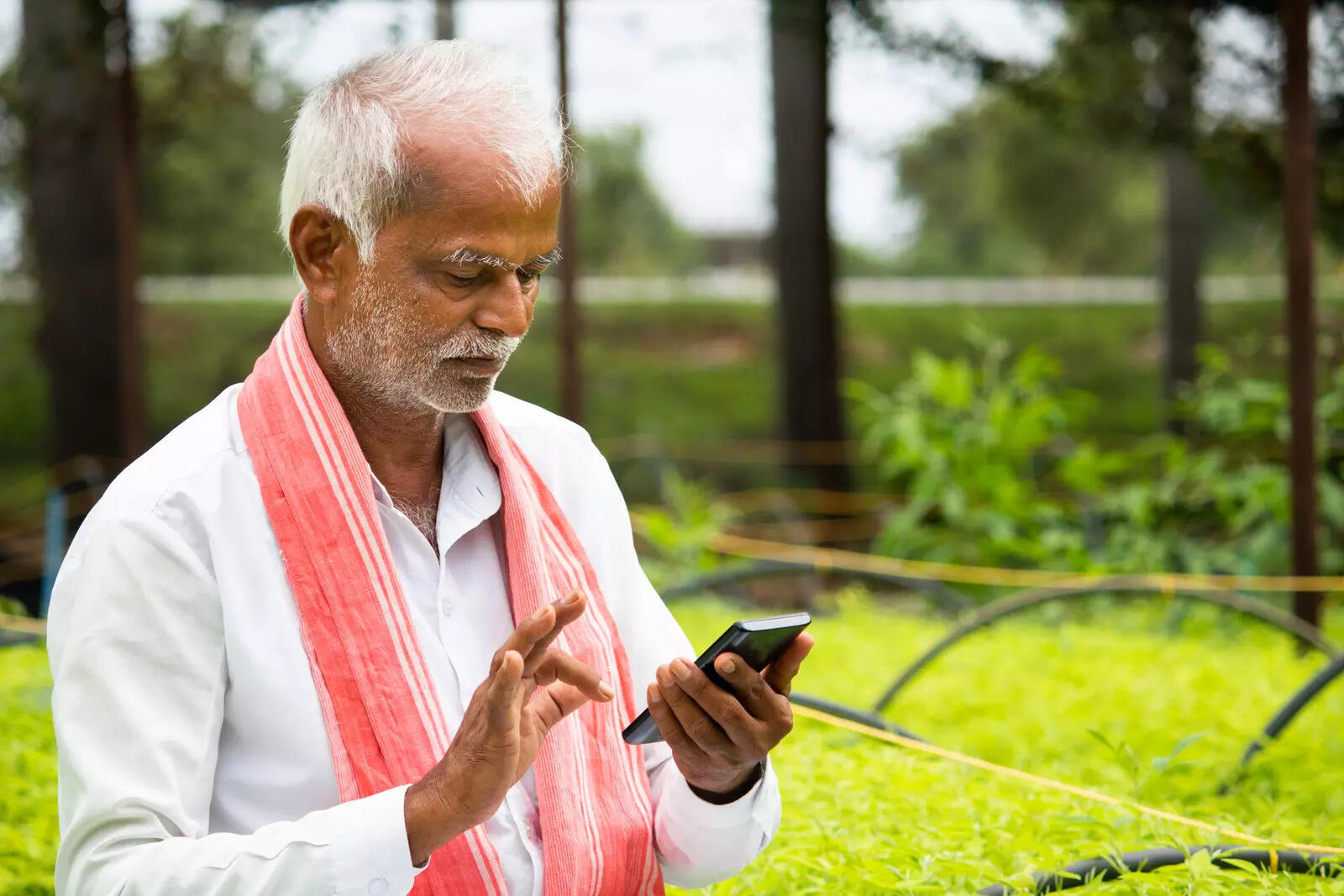 Officials demonstrate the AGILE platform interface during its launch, aimed at streamlining and digitising the licensing of agricultural inputs across the state.