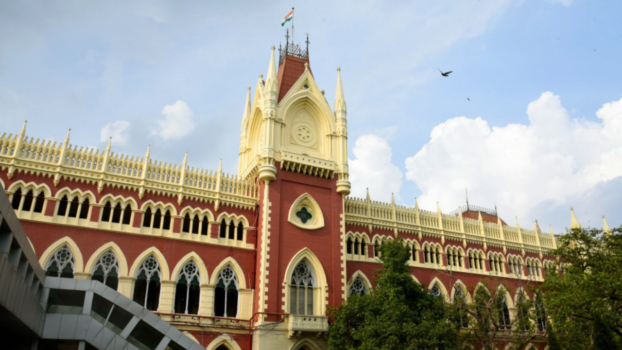 <p>Dutta also asserted that the petitioner before the single bench, who claimed to be a candidate, had no locus standi to move the court over the matter</p>