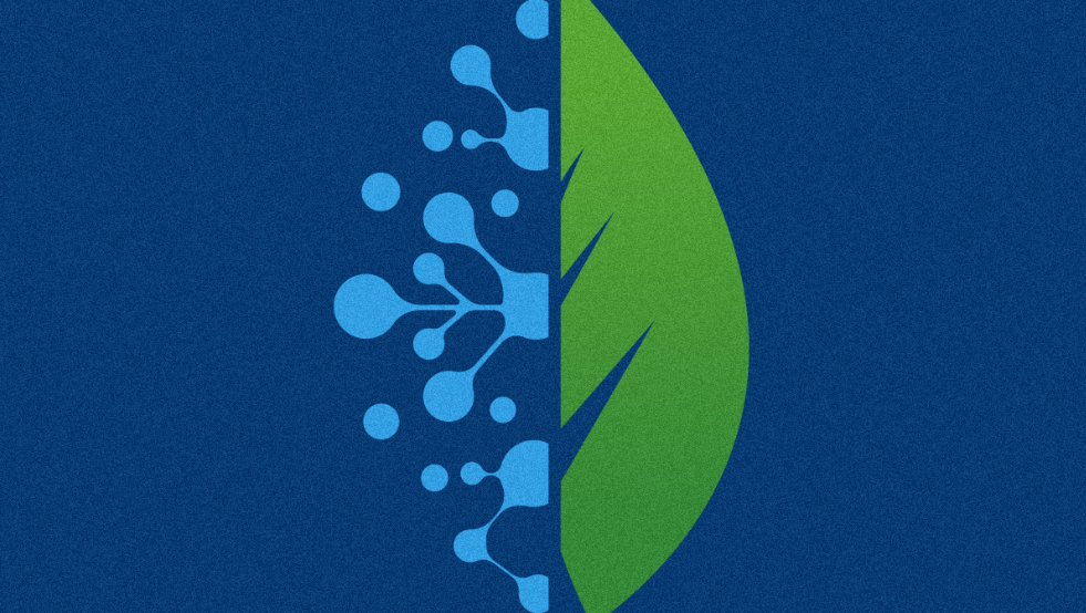 <p>Representative image</p>
