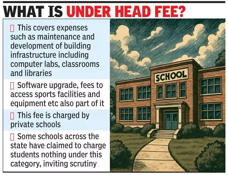 <p>It has now asked district education officers (DEOs) to ensure that schools under their jurisdiction correct the entries by July 31</p>
