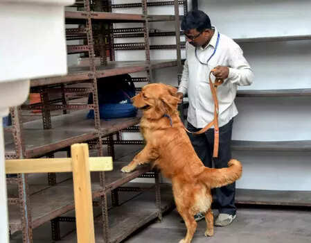 <p>Both schools were thoroughly checked by the bomb disposal squad and dog squad</p>
