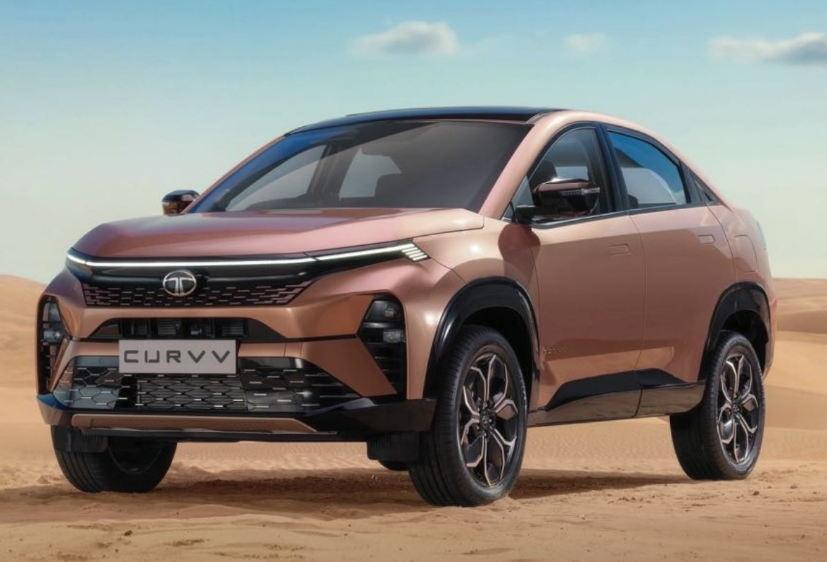 <p>Passenger vehicle sales, including EVs, dropped 11 per cent year-on-year to 40,175 units. </p>