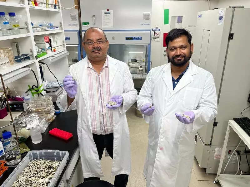<p>The proposed MoU will enable exchange of students and faculty members for studying different courses, teaching assignments and collaborative research work.</p>