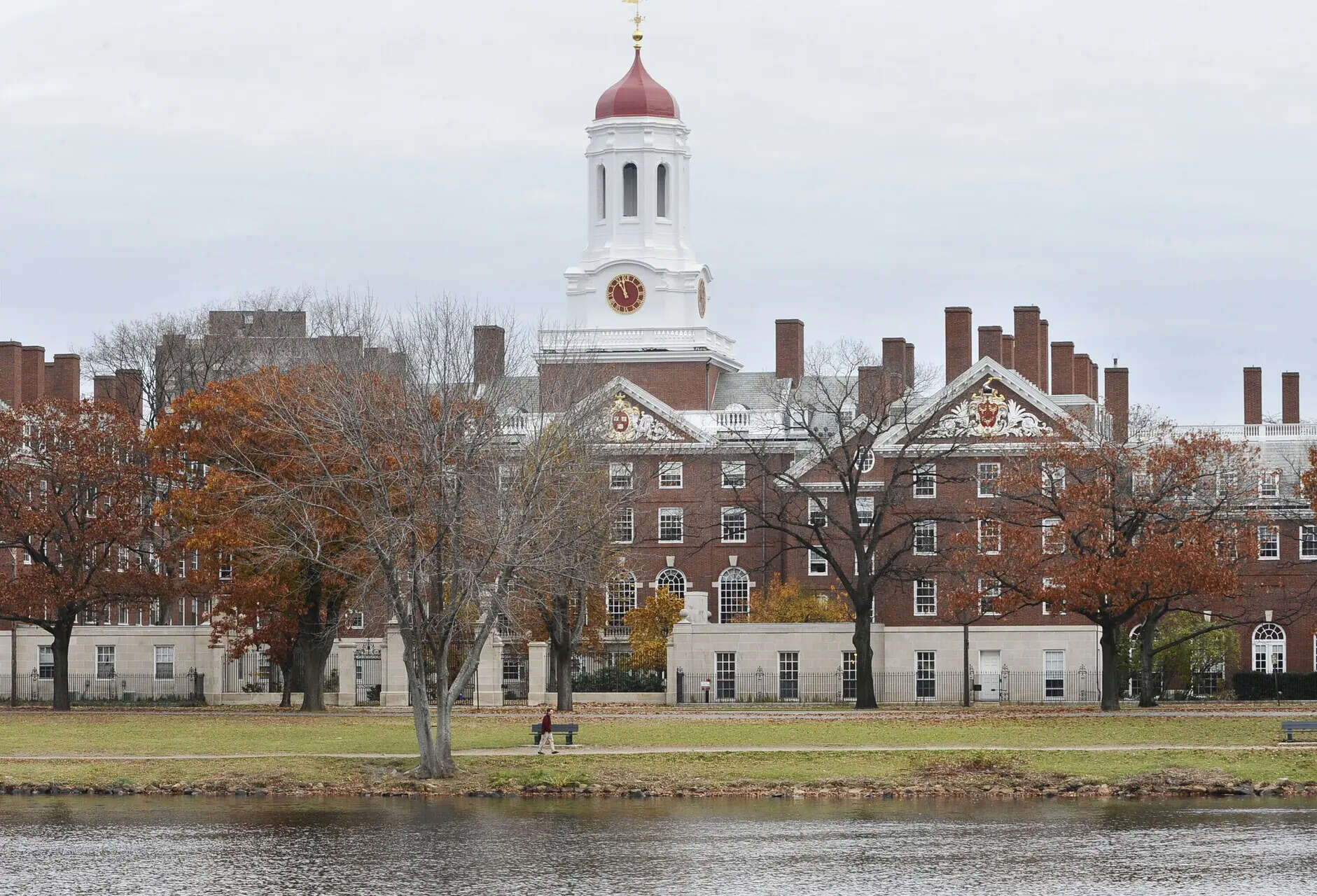 <p>Researchers laid off and science shelved The loss of an estimated $2.6 billion in federal funding at Harvard has meant that some of the world's most prominent researchers are laying off young researchers. They are shelving years or even decades of research, into everything from opioid addiction to cancer.</p>