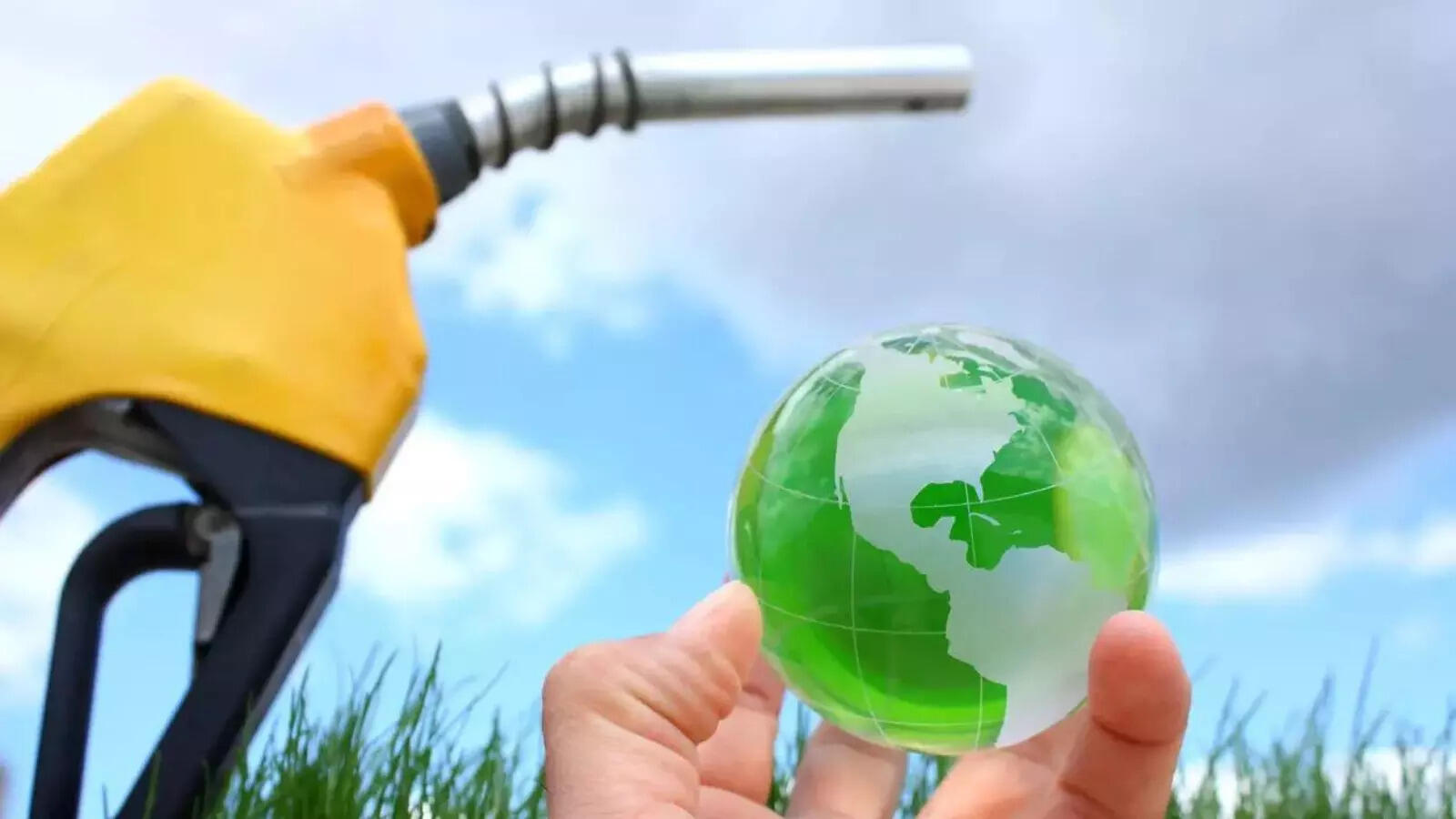 New Delhi aims to boost domestic edible oil production to 25.45 million tons by 2030-31 from 12.7 million tons now, enough to meet 72% of projected demand, an effort that Mehta said is being hindered by the surge in DDGS supply.