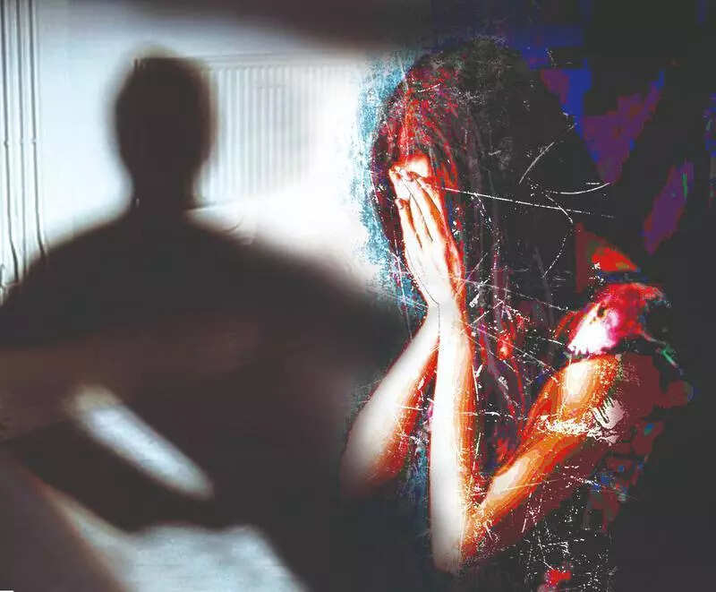 <p>The bail application further stated that the victim and accused had conversations across social media platforms and it was consensual in nature</p>