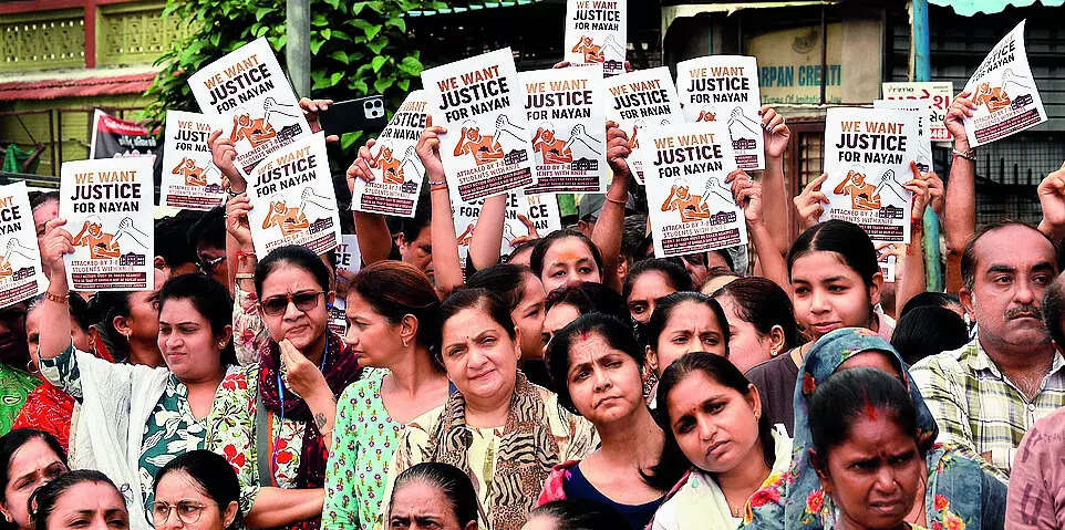 <p>The school said it has begun the rustication process for the accused student</p>