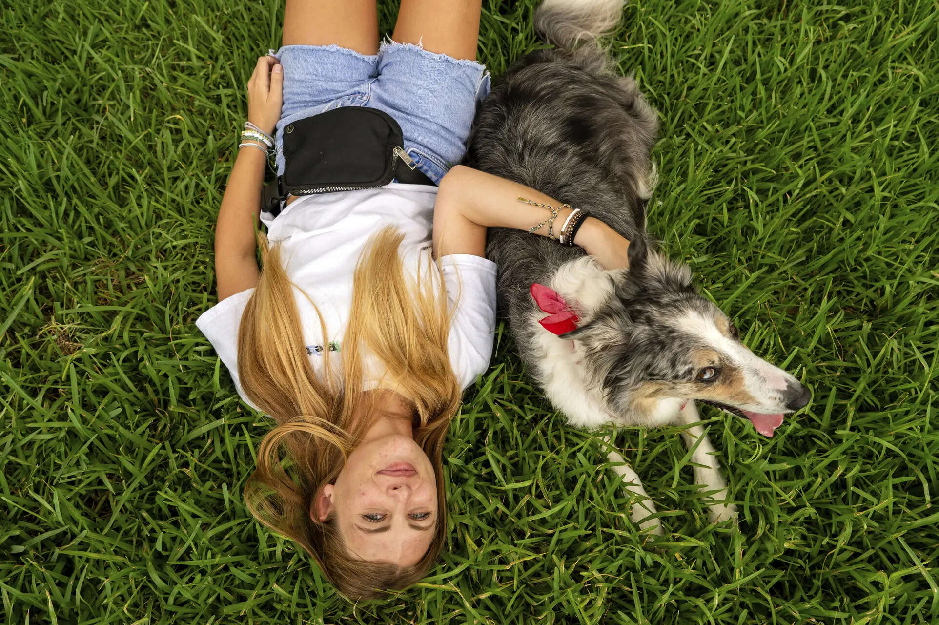 <p>Federal law requires public and private colleges to allow service animals and emotional support animals in student housing</p>