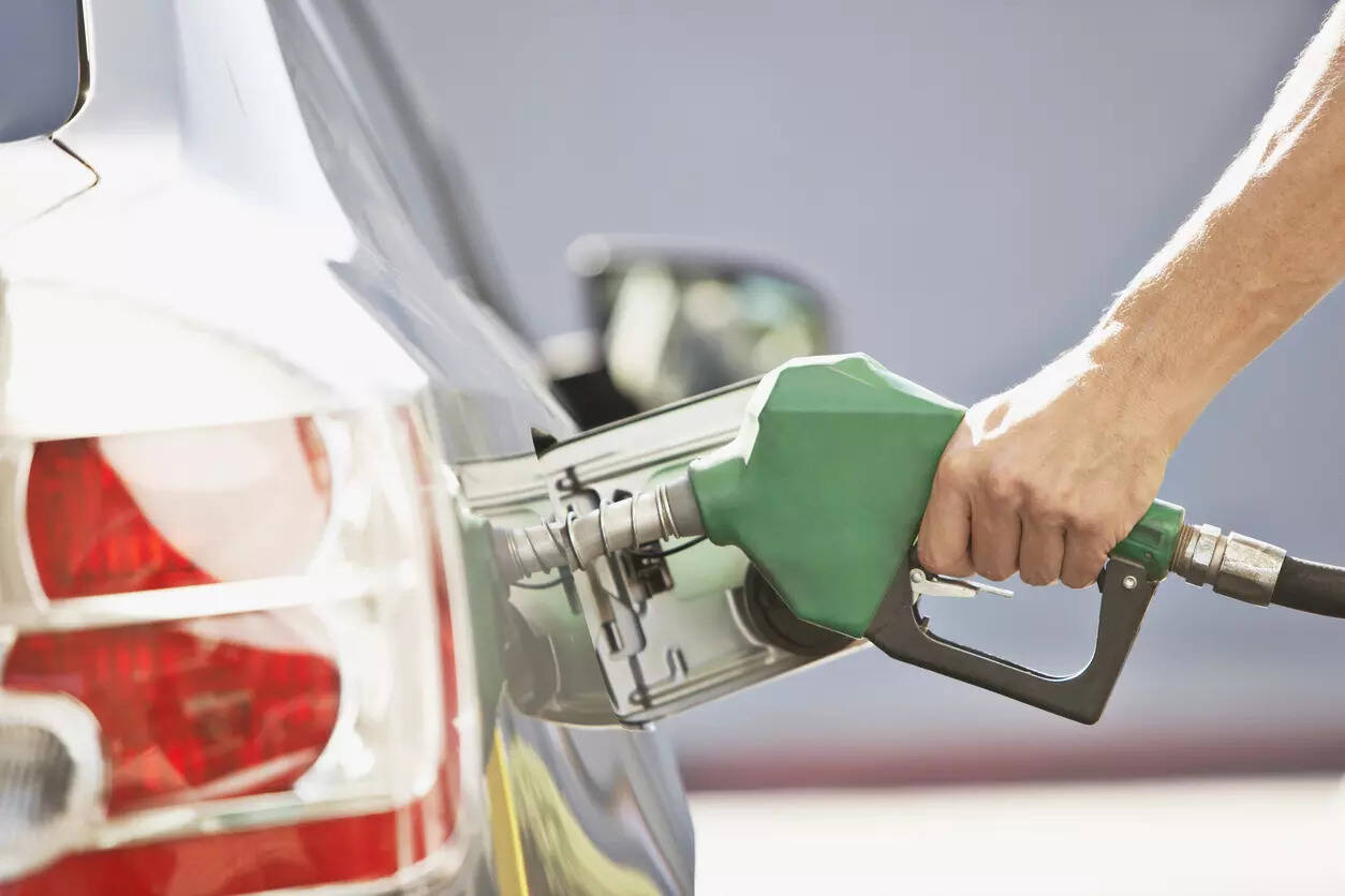 <p>The Attorney General said consumers could not dictate petrol composition, adding that the government’s decision was supporting India’s energy security goals.</p>