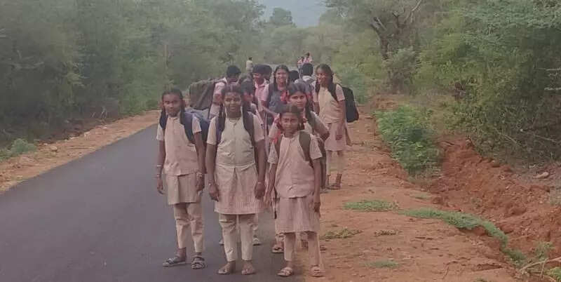 <p>The village, located under Vairichettipalayam panchayat at the foothills of the Pachamalai hills, is home to more than 1,000 people from over 600 families, most of them agricultural labourers and daily wage earners</p>
