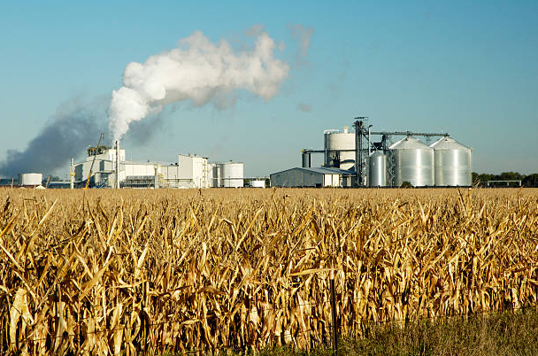 <p>The minister added that the biofuel policy had enabled mills to diversify and ensured timely payments to farmers.</p>