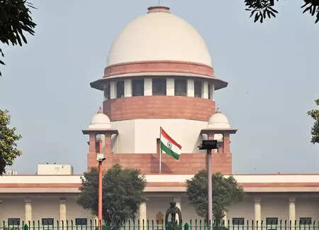 <p>The apex court itself had emphasised the mandatory inclusion of a UGC nominee in such search committees in judgments like Gambhirdan K Gadhvi v State of Gujarat (2019) and Professor (Dr) Sreejith PS v Dr Rajasree MS (2022), it said.</p>