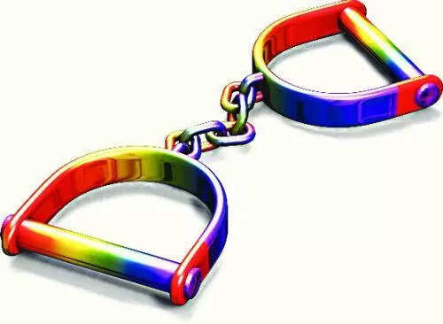 <p>This is the third arrest of a govt employee for similar offences in the past six months</p>