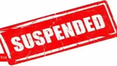 <p>A departmental inquiry was instituted and Meena was suspended with immediate effect after these facts were verified</p>