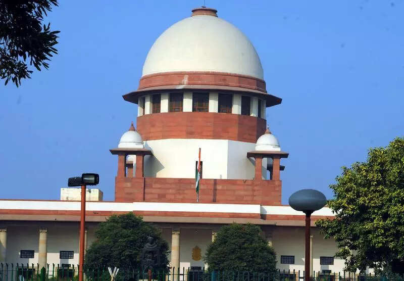 <p>The petition added that UGC regulations provide for a panel of three to five persons to be submitted to the chancellor, and the same does not provide for any ranking of the candidates</p>