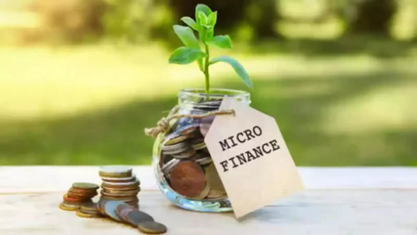 <p>India's microfinance issues present both a crisis and an opportunity.</p>