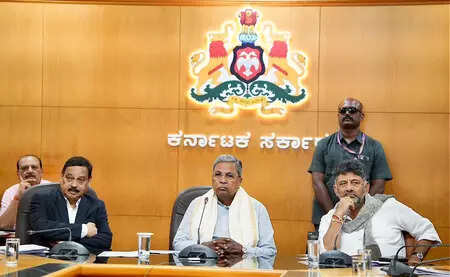<p>Siddaramaiah said the Karnataka Primary and Secondary School Teachers' Association and Congress MLC Puttanna had requested additional time for teachers to complete the survey.</p>