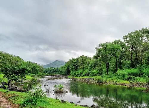 <p>Acting on this proposal, in June 2025, officials from the then Bruhat Bengaluru Mahanagara Palike's forest wing invited objections and suggestions from the public before proceeding with approvals. TOI reported on BU's plans on June 25.</p>