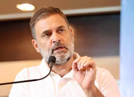 <p>Rahul Gandhi</p>