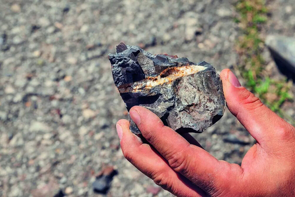 Government Initiatives to Improve Supply of Rare Earth Minerals: Piyush Goyal, ETAuto Automobile Gyan