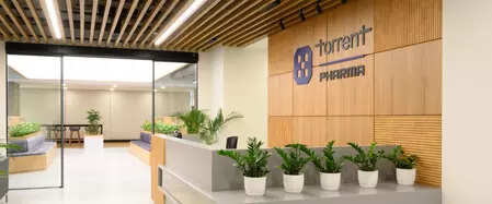 <p>Torrent Pharmaceuticals</p>