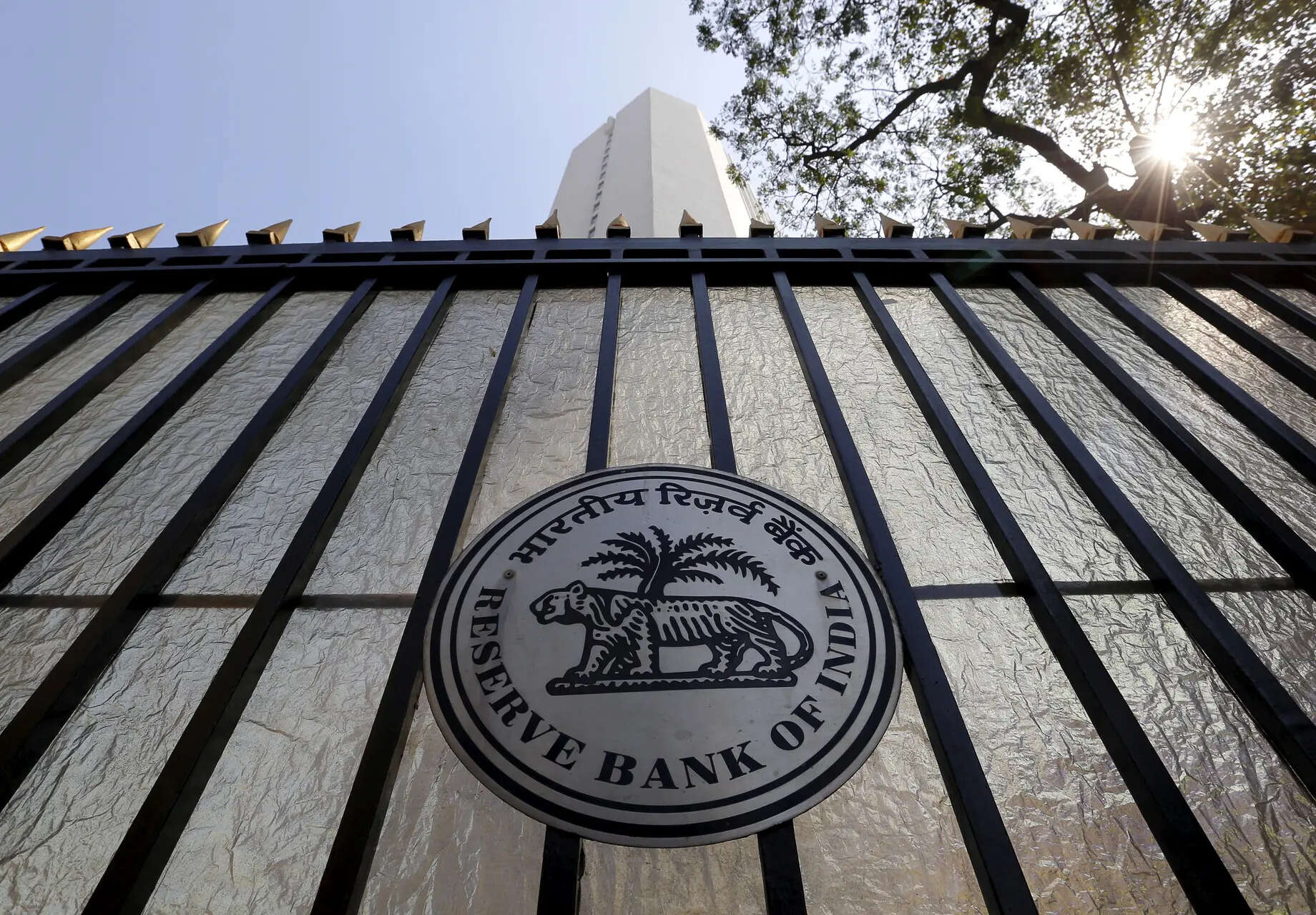 <p>The Reserve Bank of India (RBI) </p>