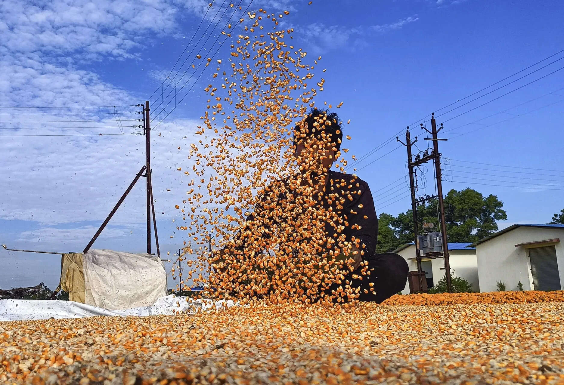 <p>Addressing the National Agricultural Students' Conference here, the union agriculture minister said he would write to state chief ministers and discuss the issue with the agriculture ministers</p>