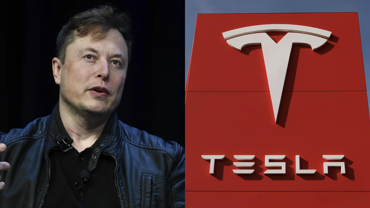 Elon Musk endorsed a Tesla investors claim that the EV maker is uniquely positioned to master both large-scale vehicle production and advanced self-driving technology.
