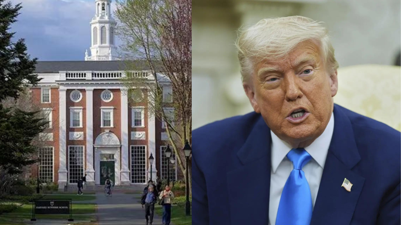 <p>Harvard University, for example, is cutting Ph.D. admissions in the sciences by 75% and in the humanities by 60%, The Harvard Crimson reported <br></p>