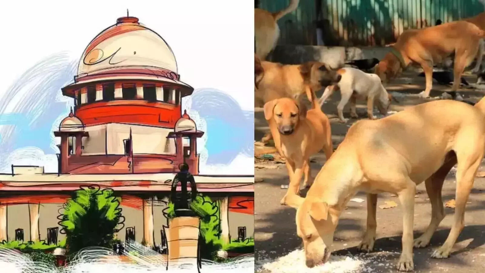 The Supreme Court directed all states and the NHAI to clear highways and expressways of stray animals and provide shelters for them.