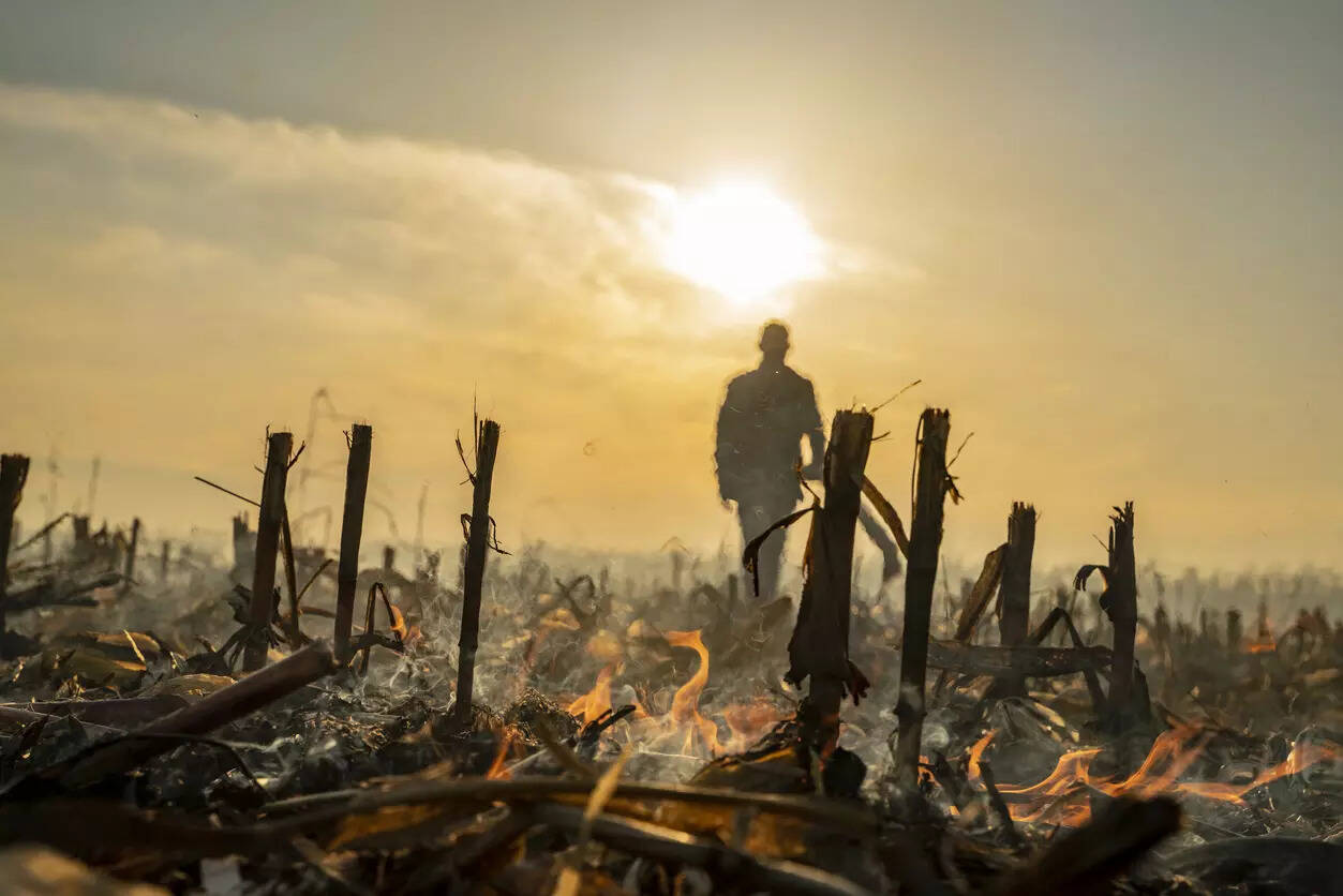 The court had earlier asked for detailed reports from the governments of Punjab and Haryana on the measures taken to curb the practice of stubble burning.