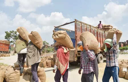 <p>New Labour Codes<br></p>