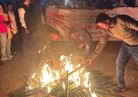 <p>State Congress president Gaurav Gogoi has also accused Sarma of "masking the failures" of current VC Shambhu Nath Singh by suggesting the appointment of a pro vice chancellor</p>