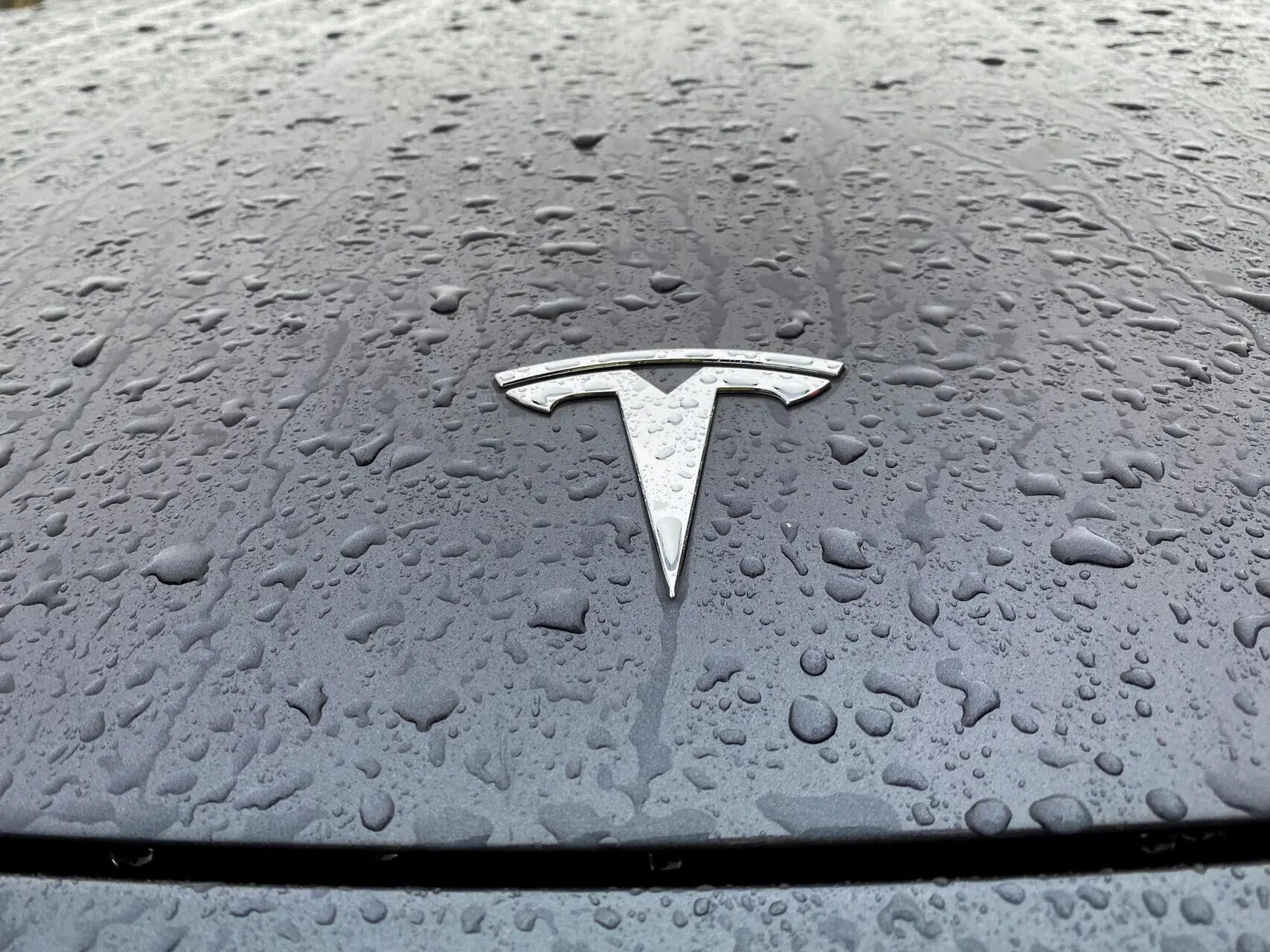 A view shows the Tesla logo (file image)