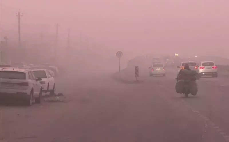 <p>According to Basic Siksha Adhikari Dr Vinita, the decision was taken on the directions of District Magistrate Avinash Singh.</p>